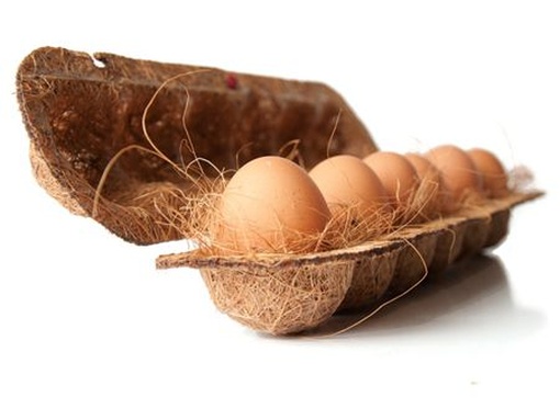 تولید شانه تخم مرغ از الیاف کوکوپیت
