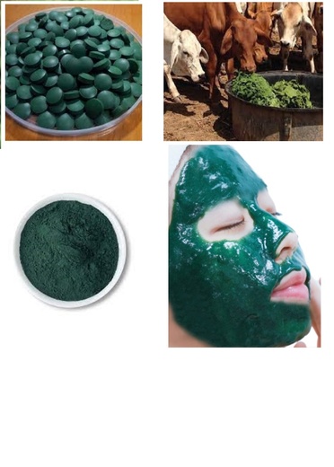 ریز جلبک اسپیرولینا