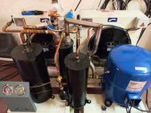 میوه خشک شده با فناوری انجمادی