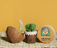 تولید گلدان های تزیینی از الیاف از پوست درخت خرما